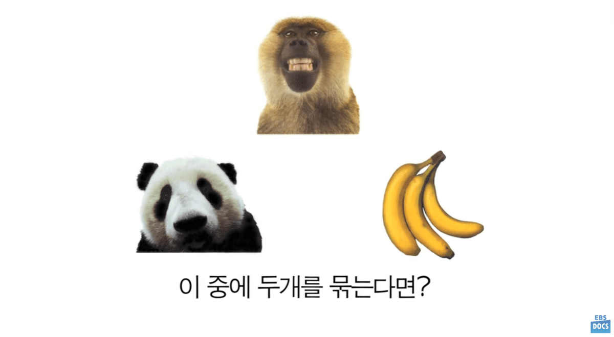 문화와 사고 체계 (Holistic vs Analytic Cognition) : 동과서의 차이